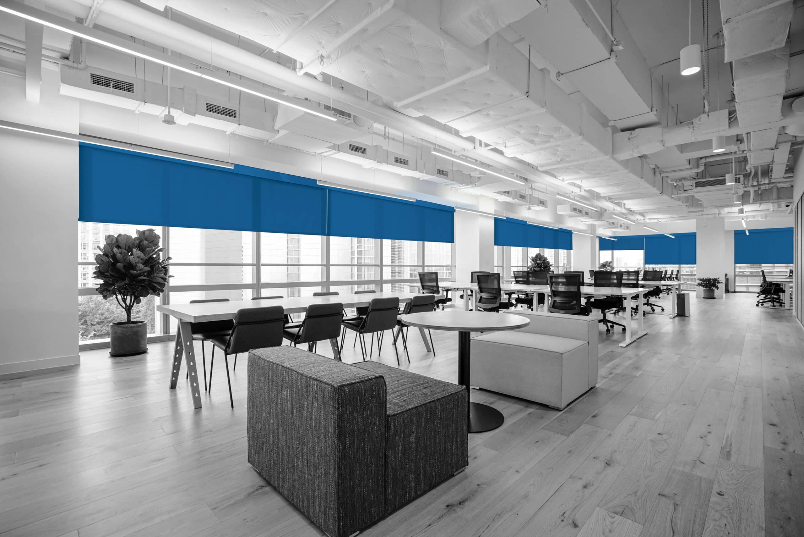 mẫu rèm văn phòng cho không gian co-working điều chỉnh ánh sáng linh hoạt