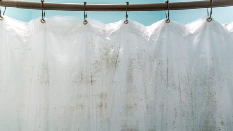 cách làm sạch rèm cửa bị mốc tại nhà hiệu quả